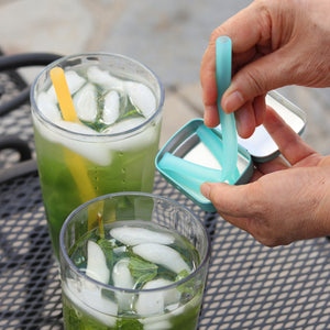 Silicone Reusable Straw with travel case