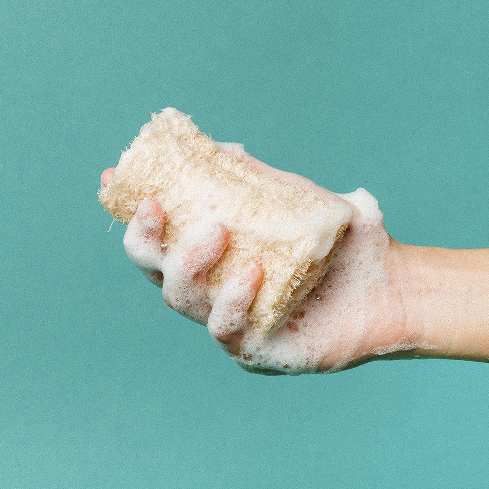 Raw Natural Loofah