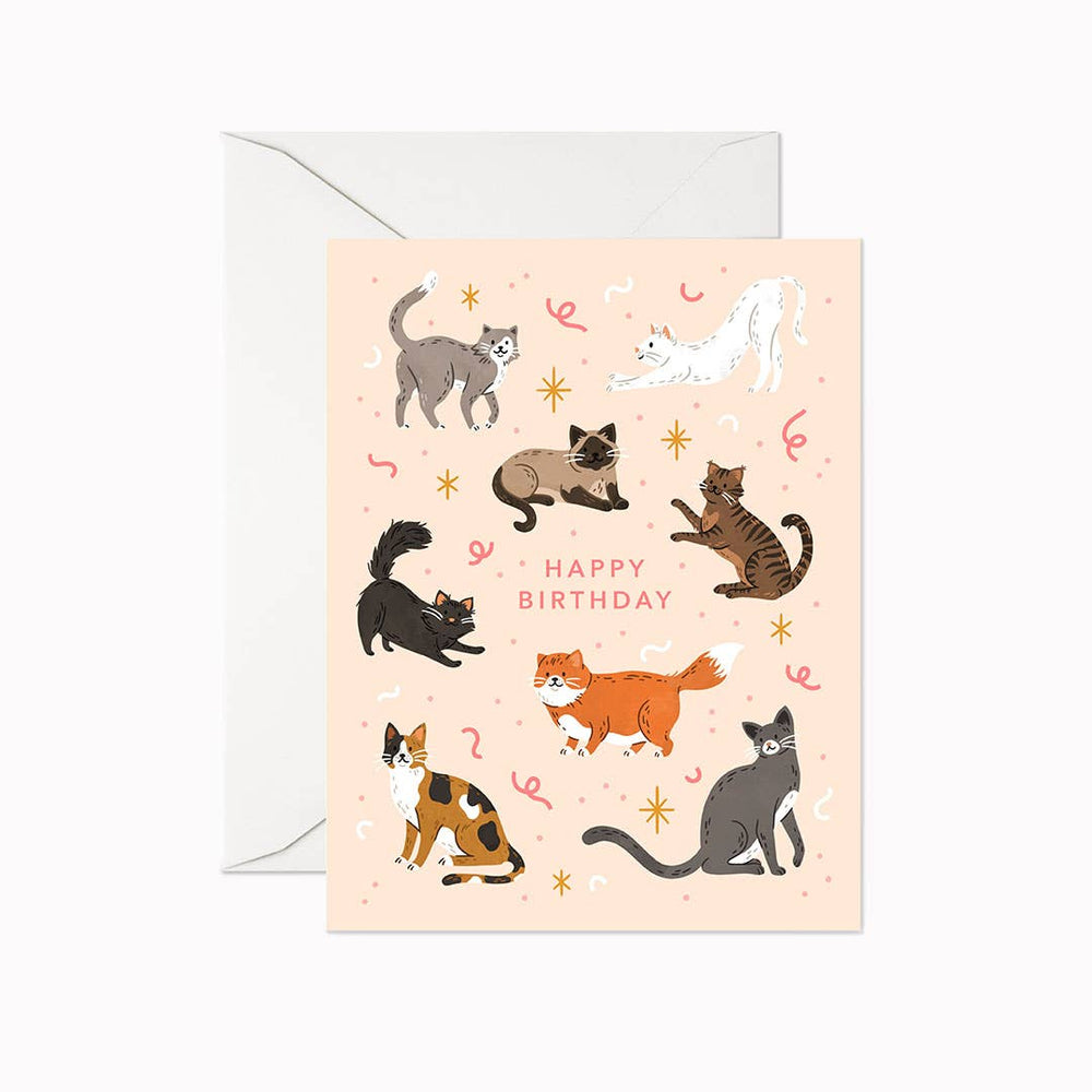 
            
                Load image into Gallery viewer, Cat Birthday Card
            
        